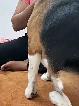 Snapshot of sissarahotty chatting on 02.02.25 sissarahotty online show from 02.02.25