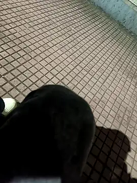 SurjS9 online show from 09.20.25