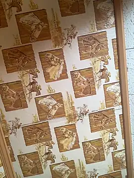 Snapshot of Tonybaloney1972 chatting on 02.24.25 Tonybaloney1972 online show from 02.24.25