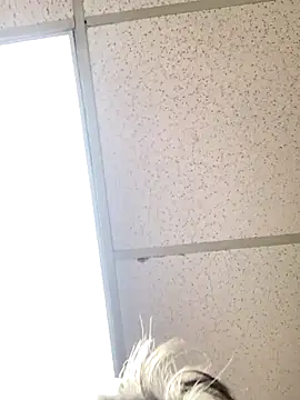 Snapshot of Tonybaloney1972 chatting on 10.31.25 Tonybaloney1972 online show from 10.31.25