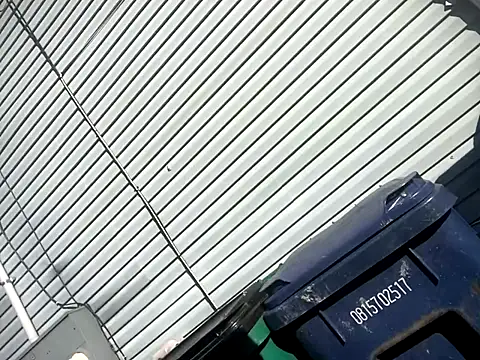 Chico Bellaco online show from 10.06.25