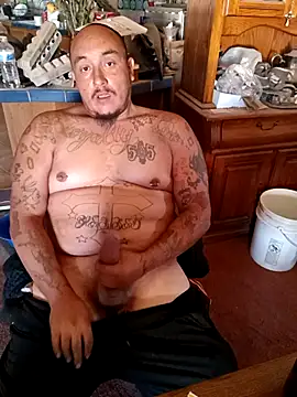 wilsons12 online show from 11.14.25