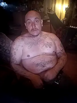 wilsons12 online show from 03.03.26