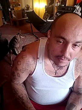 wilsons12 online show from 04.13.26