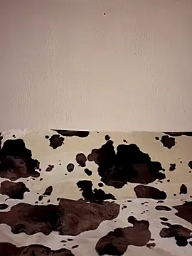 Zgodanilep online show from 04.05.26