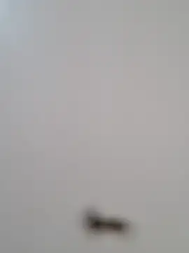 BriannaVincent online show from 10.29.25