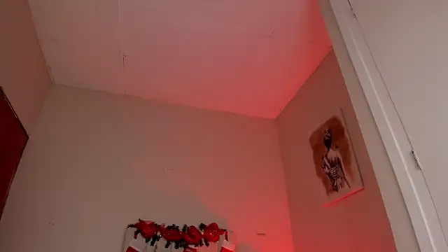 Snapshot of dani_skinny_ chatting on 12.27.24 dani skinny online show from 12.27.24