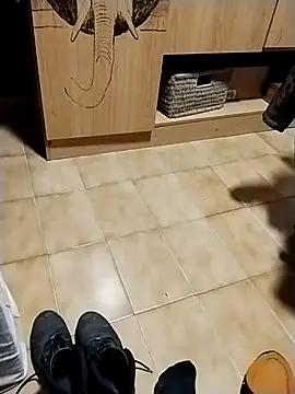 minitranca online show from 10.28.25