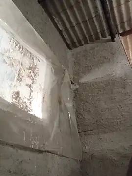 strip 1212 online show from 11.16.25