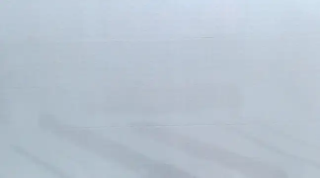 Kitten Hot  online show from 03.11.25