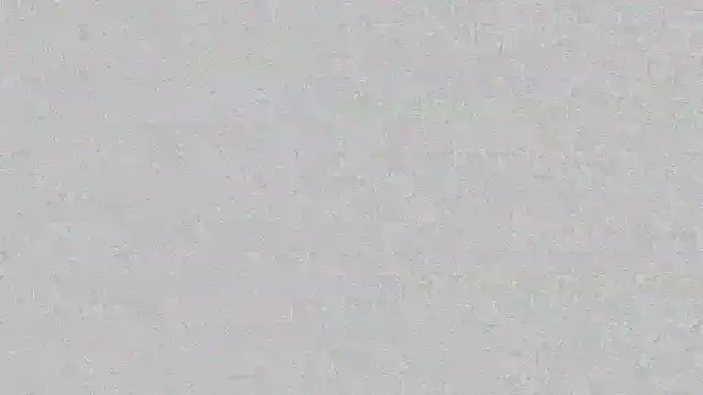 mara jackson  online show from 03.14.25