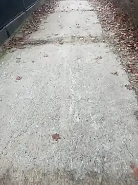 Tomkitomkii online show from 11.06.25