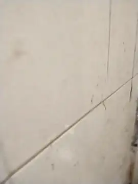 rohitlov150 online show from 11.14.25