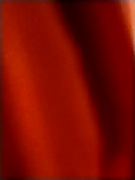 rohitlov150 online show from 12.18.25