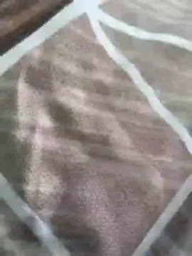 rohitlov150 online show from 03.16.26