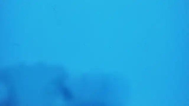  hairybeard  online show from 02.20.25