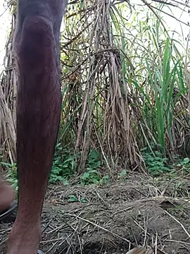 cjonybab online show from 11.18.25