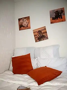 Shria107 online show from 01.08.26