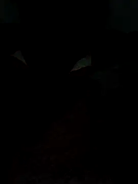 catreena online show from 02.09.26