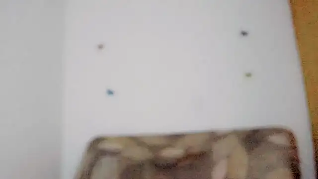 TatiGil online show from 04.10.26