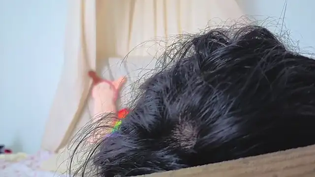 Snapshot of Katiaflex chatting on 03.02.26 Katiaflex online show from 03.02.26