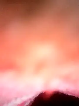 Avantika19 online show from 01.06.25