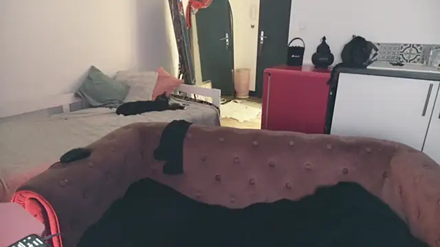 ce leste   online show from 01.10.26