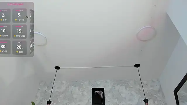 Snapshot of Regan__ chatting on 01.19.26 Regan online show from 01.19.26