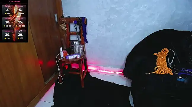 mysteery katty  online show from 12.16.24