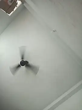 pintuS40 online show from 11.06.25