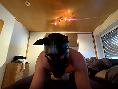 PlayDog123 online show from 01.11.26