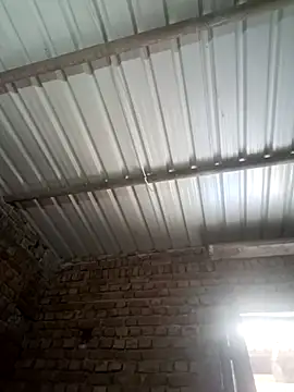 Shubu 76 online show from 09.15.25