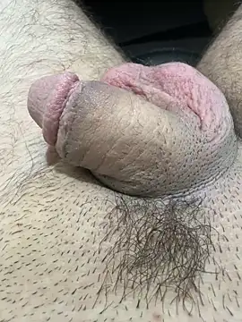 TheArabicGuyx online show from 11.18.25