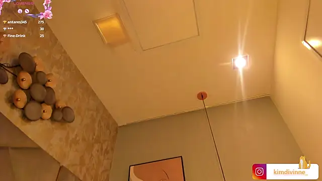 KimDevinne online show from 02.14.25