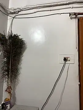 John desihunk online show from 11.22.25