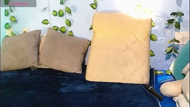 venus swet  online show from 06.02.26