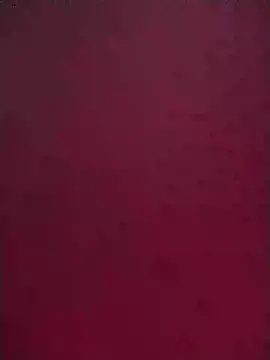 Snapshot of Norve26 chatting on 02.02.25 Norve26 online show from 02.02.25