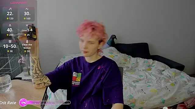 School Love online show from 11.12.25