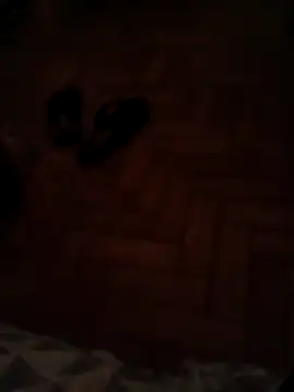 lobomisterioso13 online show from 12.11.24