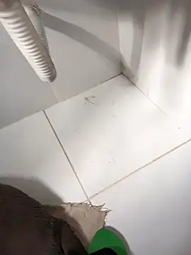 lobomisterioso13 online show from 03.14.25