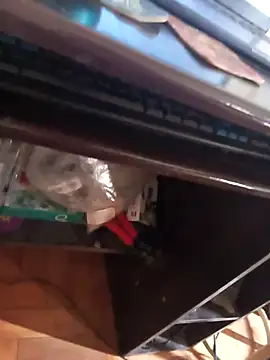 lobomisterioso13 online show from 04.08.26