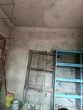 NICK IN online show from 02.18.25