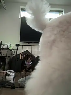 kensnb online show from 03.08.25