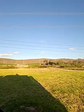 MIGHTY MAGNUM online show from 02.08.25