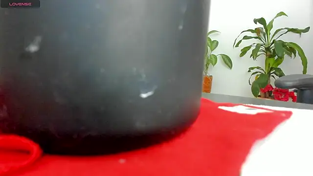 Michel Jones online show from 03.08.25