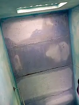 Andrapradesh online show from 10.13.25