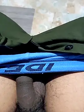 Andrapradesh online show from 12.01.25