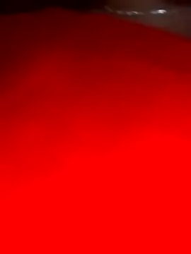 Snapshot of sara_pineros chatting on 12.28.24 sara pineros online show from 12.28.24