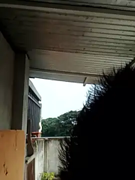 luchoarr online show from 12.21.25