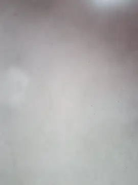  violetta - online show from 10.12.25